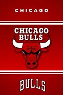 Image result for Bulls Basketball Banner