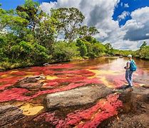 Image result for Colombia National Parks