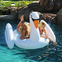 Image result for Large Inflatable Swan Float