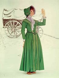 Image result for Pioneer Costume