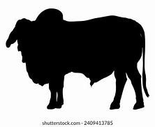 Image result for Brahman Bull Silhouette