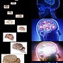 Image result for Man Brain Galaxy Meme