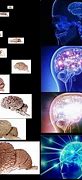 Image result for Galaxy Brain Meme Smart