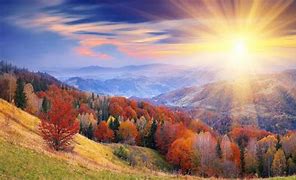Image result for Sunrise Nature iPhone Wallpaper