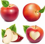 Image result for Red Apple Vector