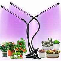 Image result for Small LED Grow Lights
