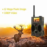 Image result for Hunting Cameras Wireless