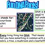 Image result for DNA Genetic Material