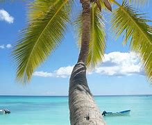 Image result for Juan Bahama