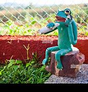Image result for Pepe Frog Cigar