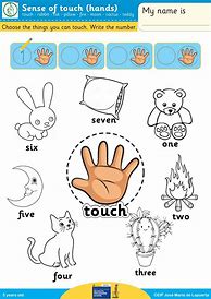Image result for Sense of Touch Worksheet