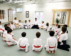 Image result for Aikido Kids
