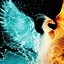 Image result for Phoenix Phone Wallpaper