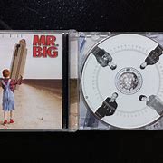 Image result for Mr. Big Actual Size