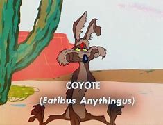 Image result for Wall-E Coyote