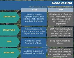 Image result for Genomics Vs. Forward Genetics
