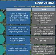 Image result for Gene vs DNA