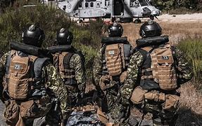 Image result for Canadian Naval Special Forces