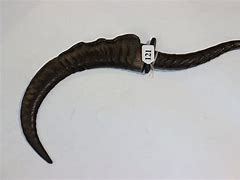 Image result for Horns Like Weapon