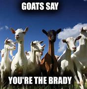 Image result for Goat Meme Football
