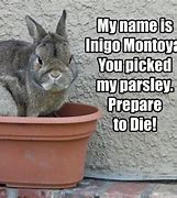 Image result for Dead Rabbit Lenny Meme