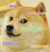 Image result for Big Brain Doge