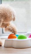 Image result for Good Toys for Dogs