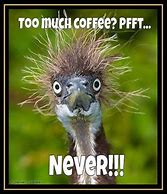 Image result for Relatable Coffee Memes