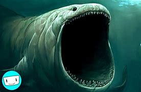Image result for World Biggest Sea Animal