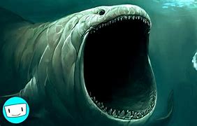 Image result for World's Largest Creature