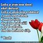 Image result for Obrazky Laska Slzy