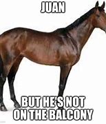 Image result for Juan Horse Meme