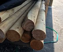 Image result for 100 Inch Log Pics