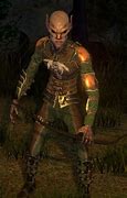 Image result for Morrowind Dark Elf