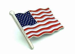 Image result for USA Flag Pin