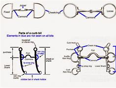 Image result for Diagram How a Curb Bit Works Horse