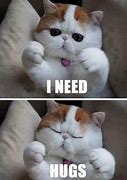 Image result for Cute Kitty Memes