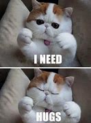 Image result for Cutest Kitten Memes