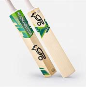 Image result for DSC Cricket Bats White