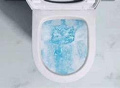 Image result for Toilet Flush Types