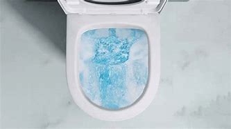 Image result for Side Flush Toilet