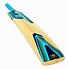 Image result for Soft Ball Cricket Bat