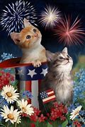 Image result for 4th of July Cat Meme