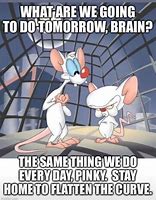 Image result for Retirement Meme Pinky and Brain
