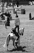 Image result for Equestrian Show Jumping