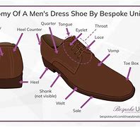 Image result for Sneaker Anatomy