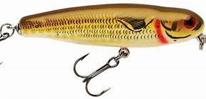 Image result for Bagley Crank Baits Lures