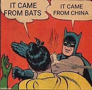 Image result for China Bat Meme