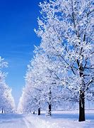 Image result for Winter Snow Scenes