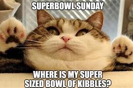 Image result for Super Bowl Sunday Meme